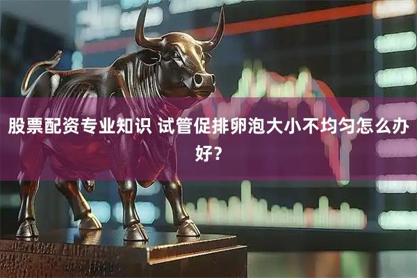 股票配资专业知识 试管促排卵泡大小不均匀怎么办好？