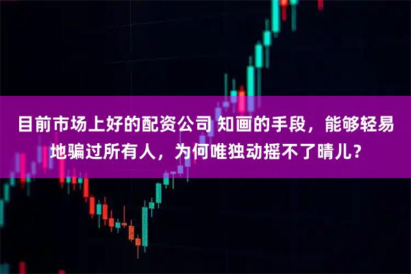 目前市场上好的配资公司 知画的手段，能够轻易地骗过所有人，为何唯独动摇不了晴儿？