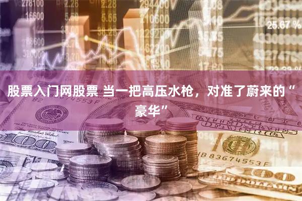 股票入门网股票 当一把高压水枪，对准了蔚来的“豪华”